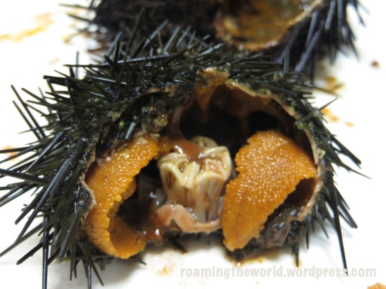 Sea urchin gonads